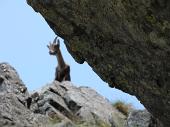 Da Carona al Pizzo del Becco (2507 m.) per via ferrata, con discesa dal Passo di Sardegnana, Lago Colombo e Laghi Gemelli il 25 agosto 2009 -  FOTOGALLERY